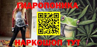 индика Краснознаменск