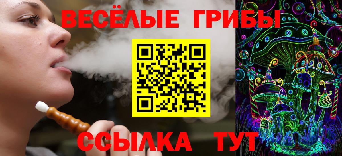 Галлюциногенные грибы GOLDEN TEACHER Кизилюрт